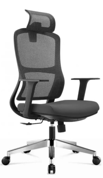 ������ ����� �����  SitUp